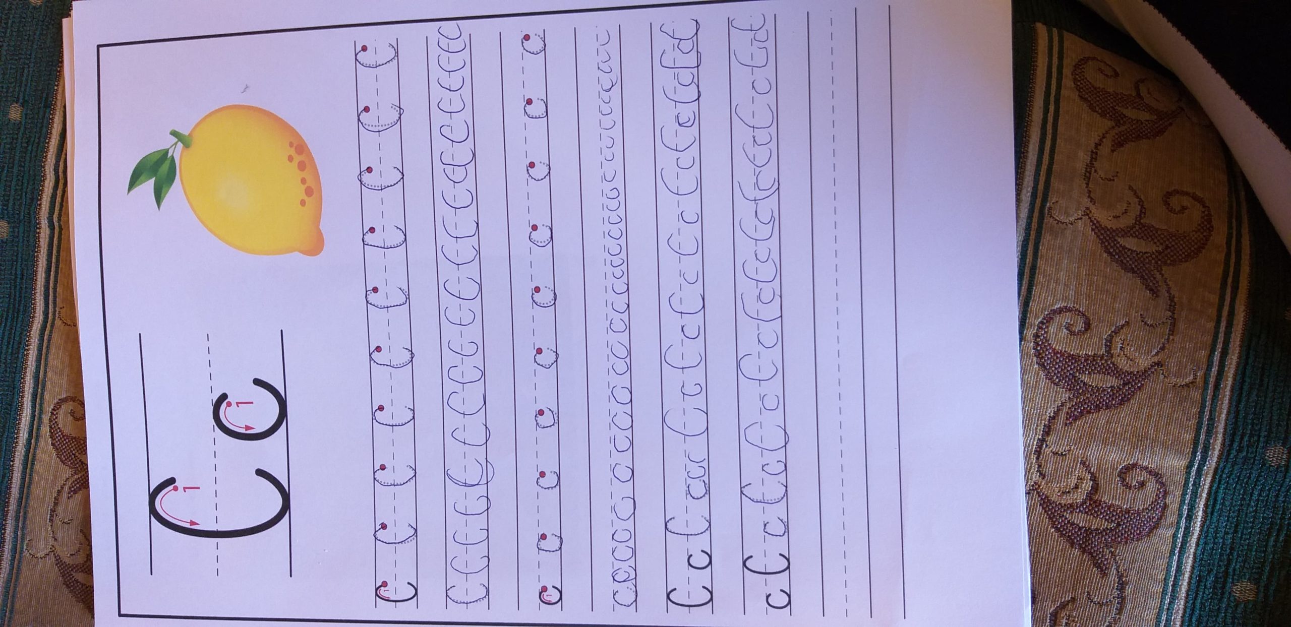 91784448_294558244844890_8295638055579025408_n