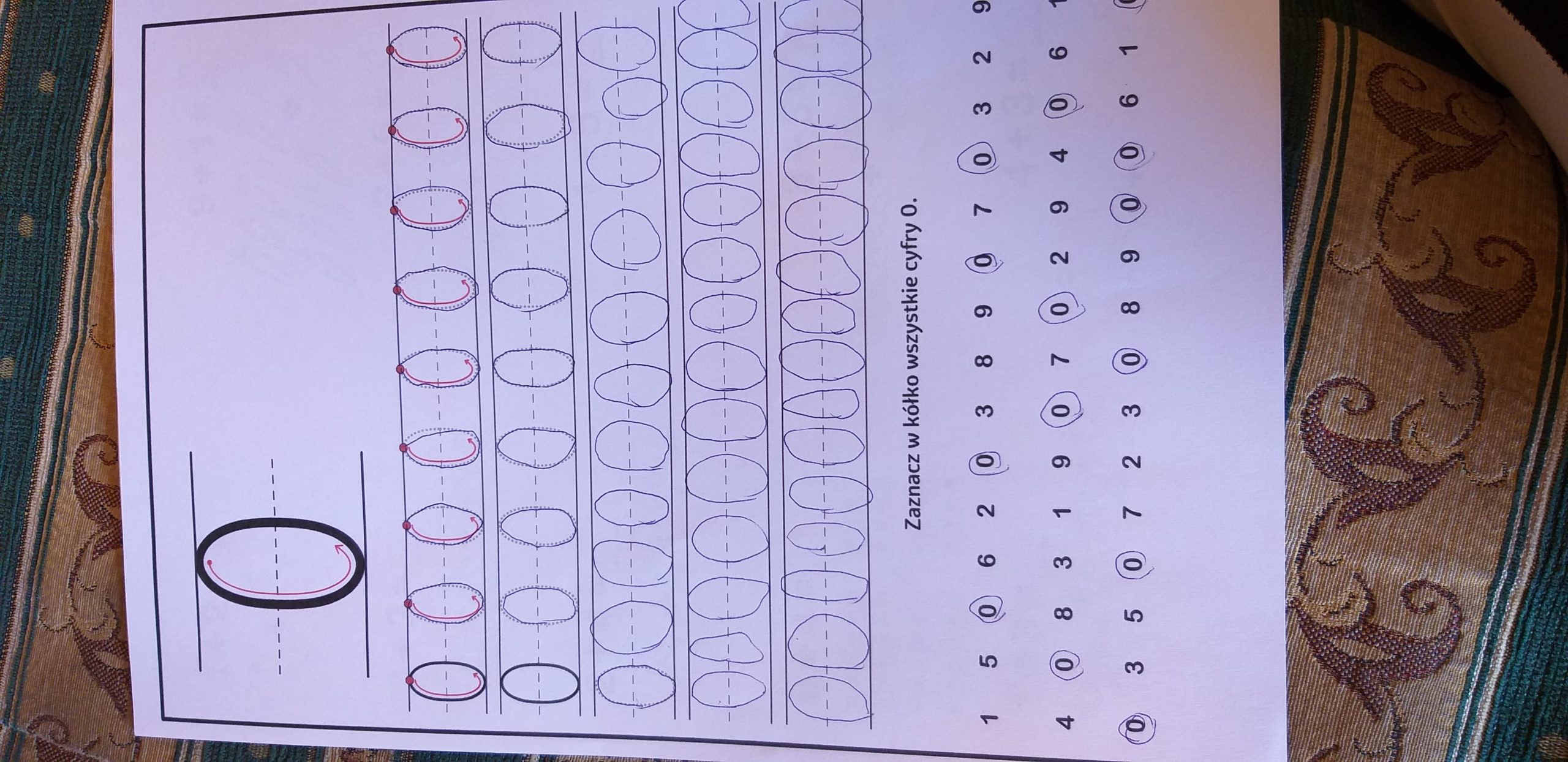 91805908_504380923591442_8591510063313584128_n