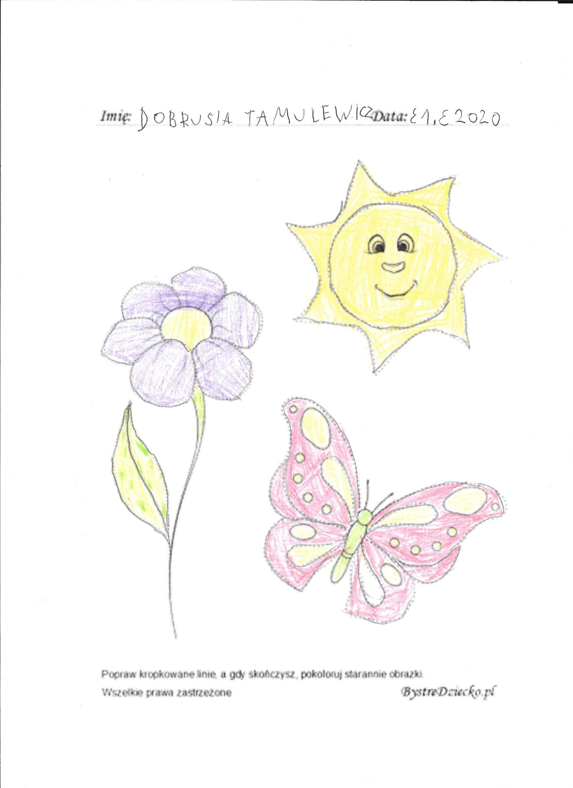Dobrusia_Słońce kwiatek Motyl