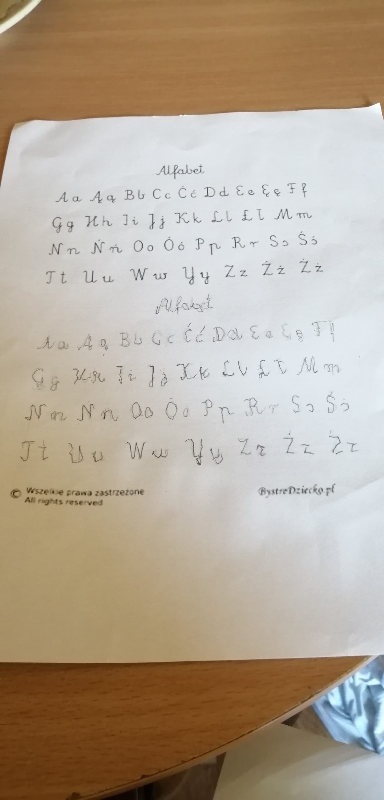 95537361_528248861186216_6164871854814134272_n